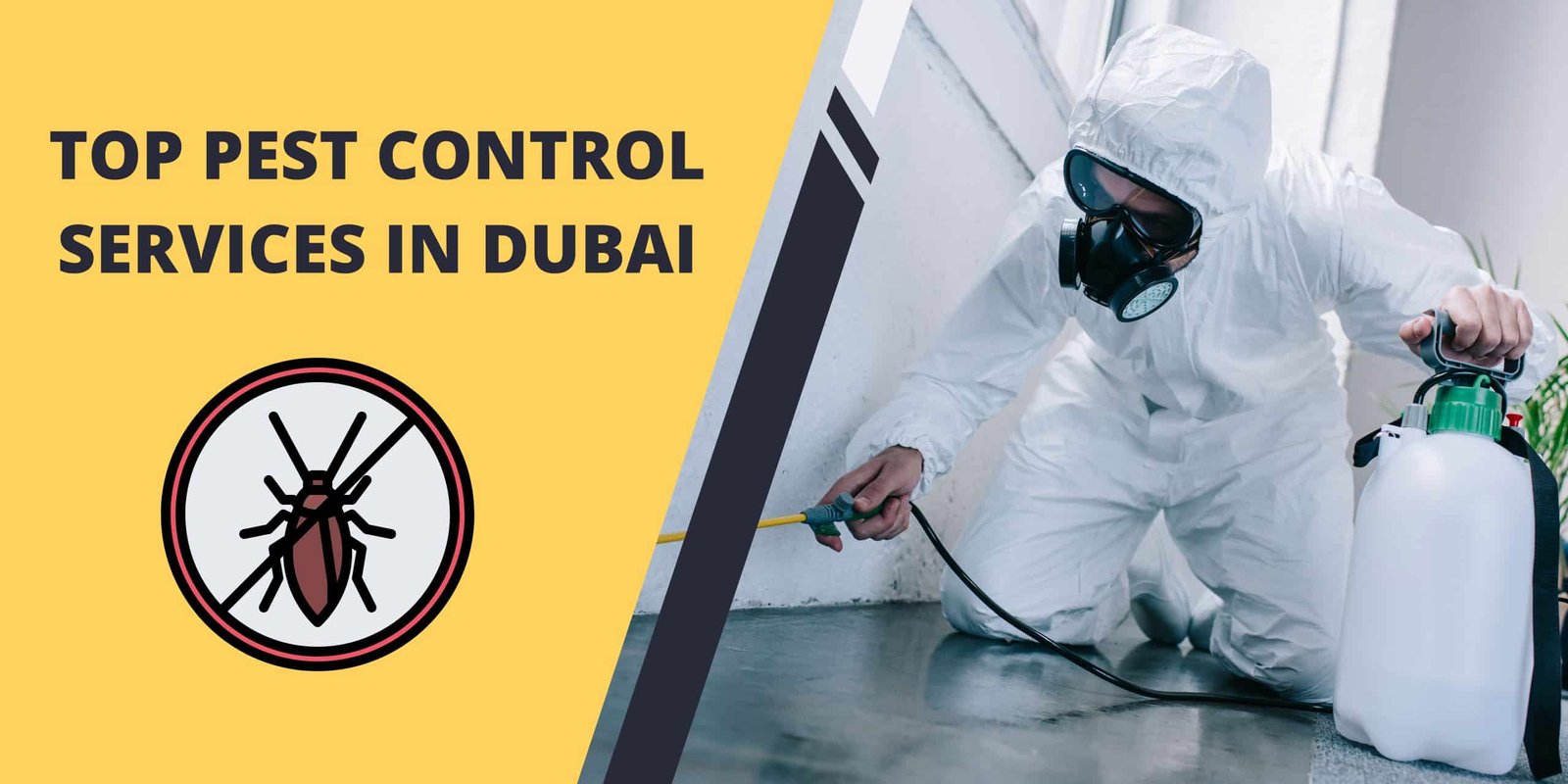 Pest Control Services